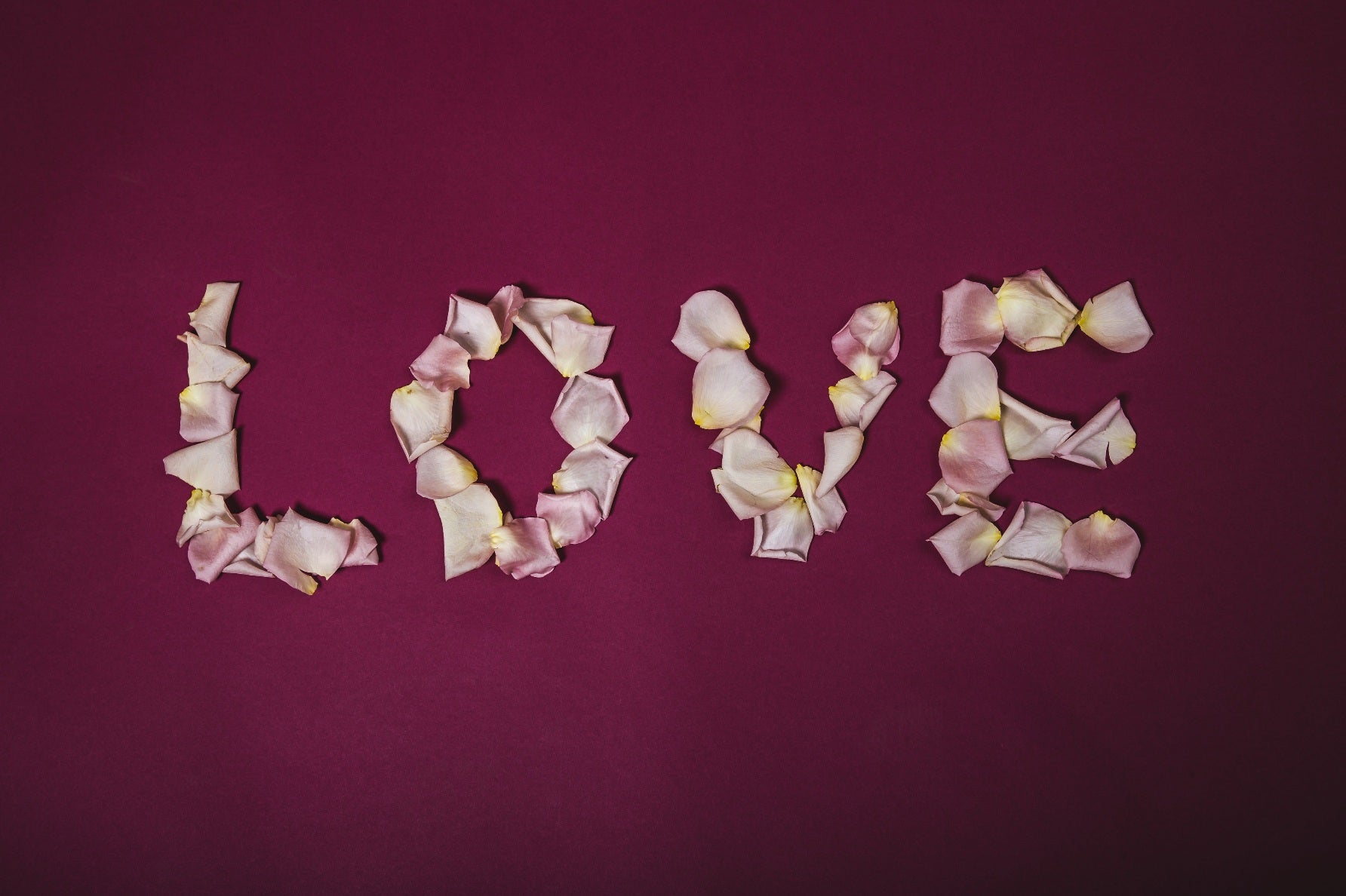 A LOVE letters created by pink rose petals on a red background, symbolizing spreading love and positivity